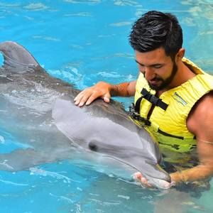 Meet your Posher, Paul